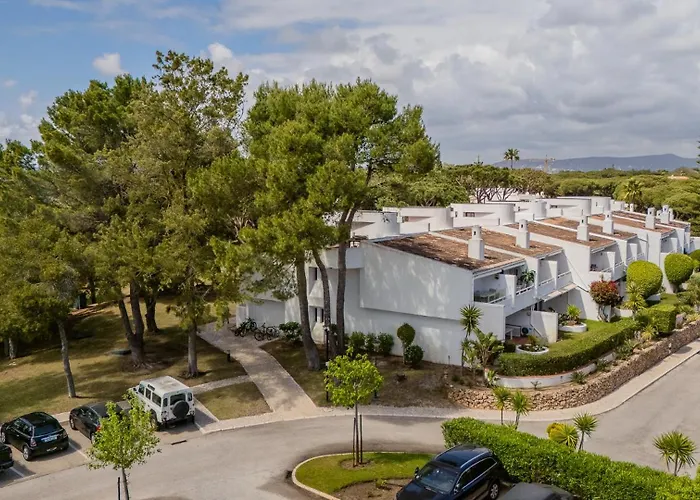 Apartment The Palm Nest Loulé